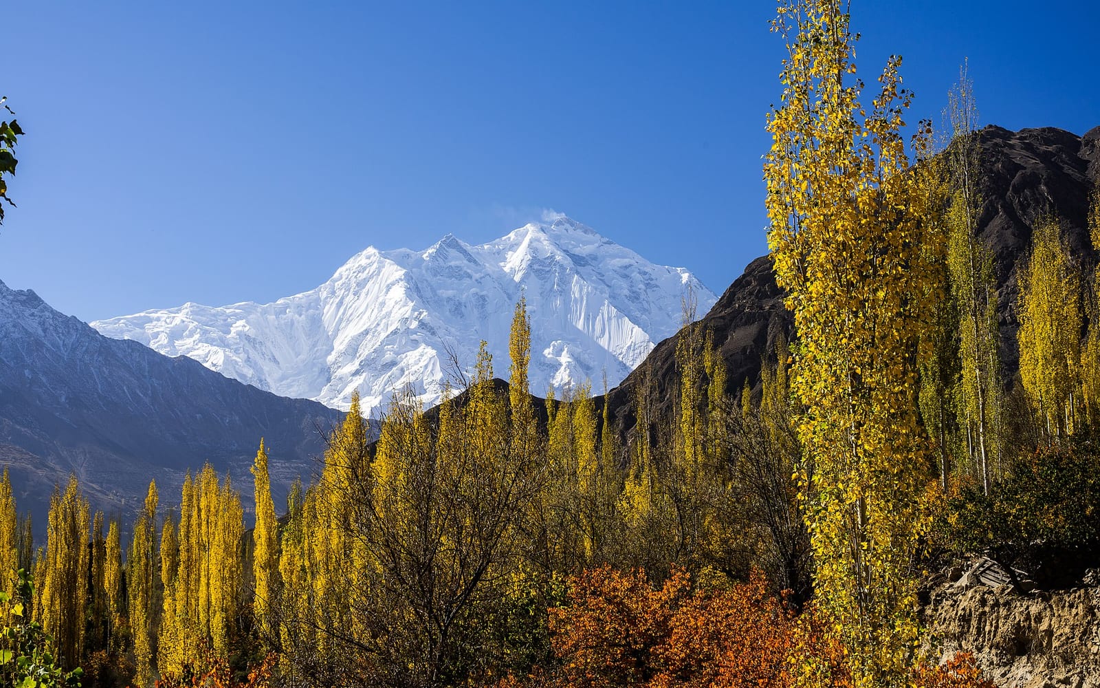 Rakaposhi (7,788 m)